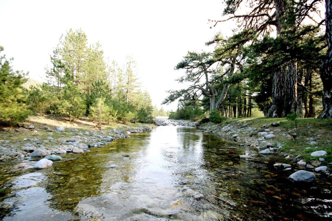 Beyşehir’de gezilecek yerler nelerdir? 32